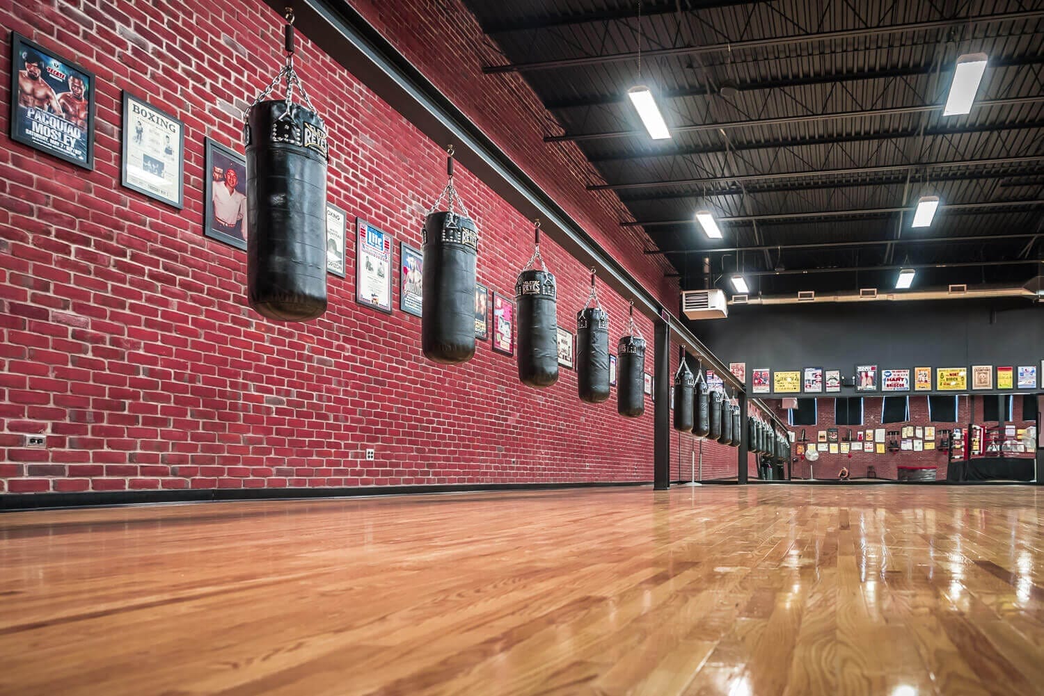 The heavy bag row at West End Athletic Club — a boxing gym in Etobicoke, Toronto